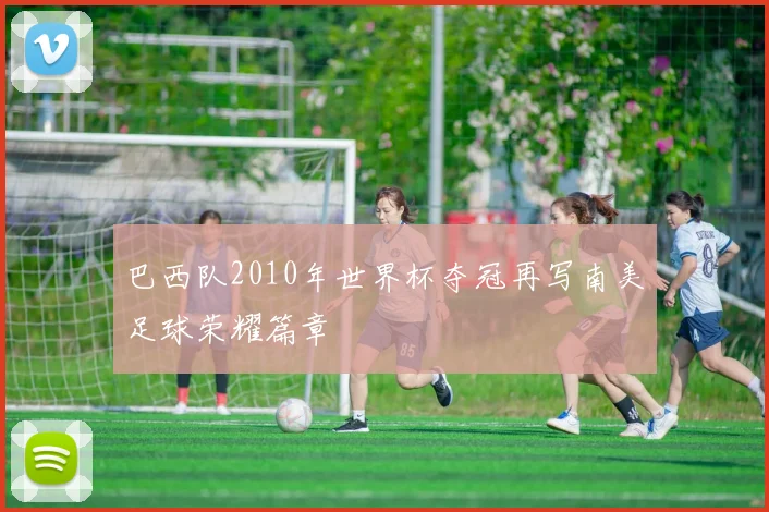 巴西队2010年世界杯夺冠再写南美足球荣耀篇章