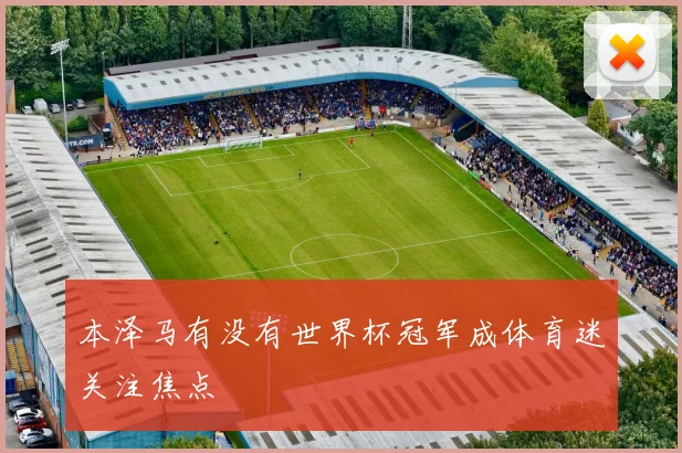 本泽马有没有世界杯冠军成体育迷关注焦点
